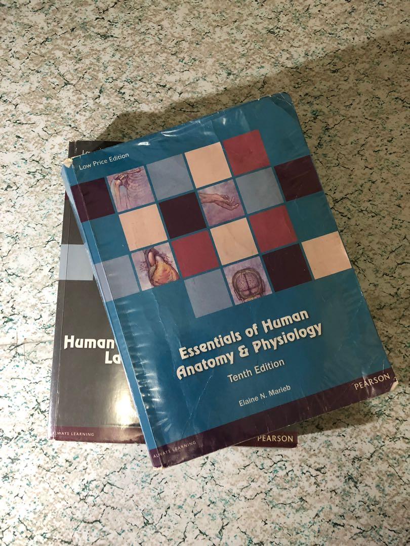 Essentials Of Human Anatomy Physiology 10th Edition By Elaine N Marieb And Human Anatomy Physiology Laboratory Manual 10th Edition By Marieb Mitchell Smith Books Books On Carousell