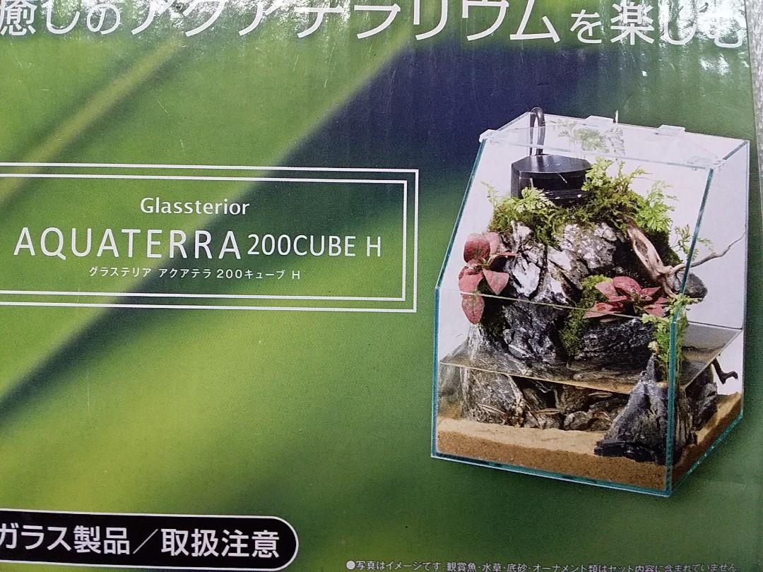 GEX Aquaterra 200 Cube H for Terrarium setup, Pet Supplies, Homes