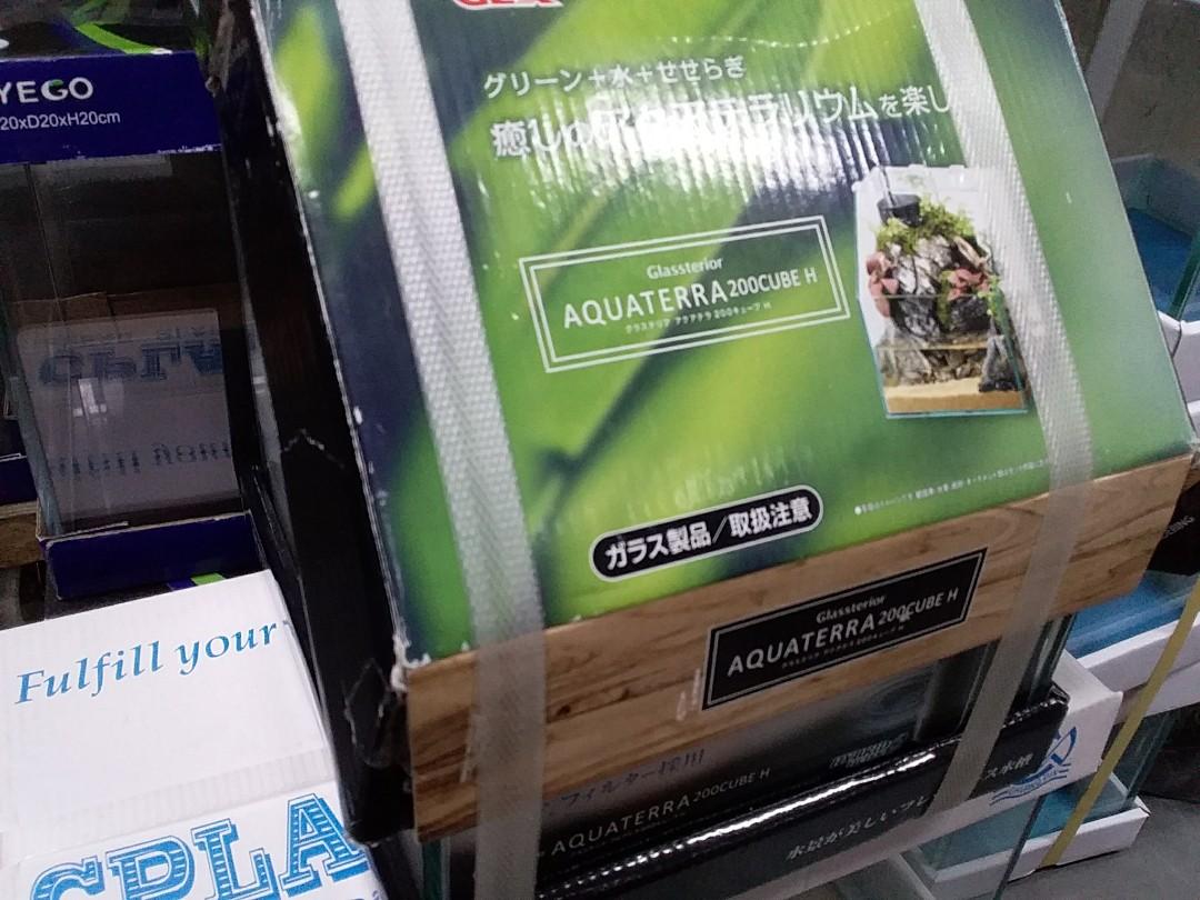 GEX Aquaterra 200 Cube H for Terrarium setup, Pet Supplies, Homes