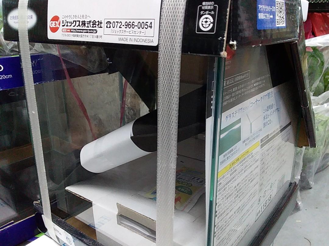 GEX Aquaterra 200 Cube H for Terrarium setup, Pet Supplies, Homes