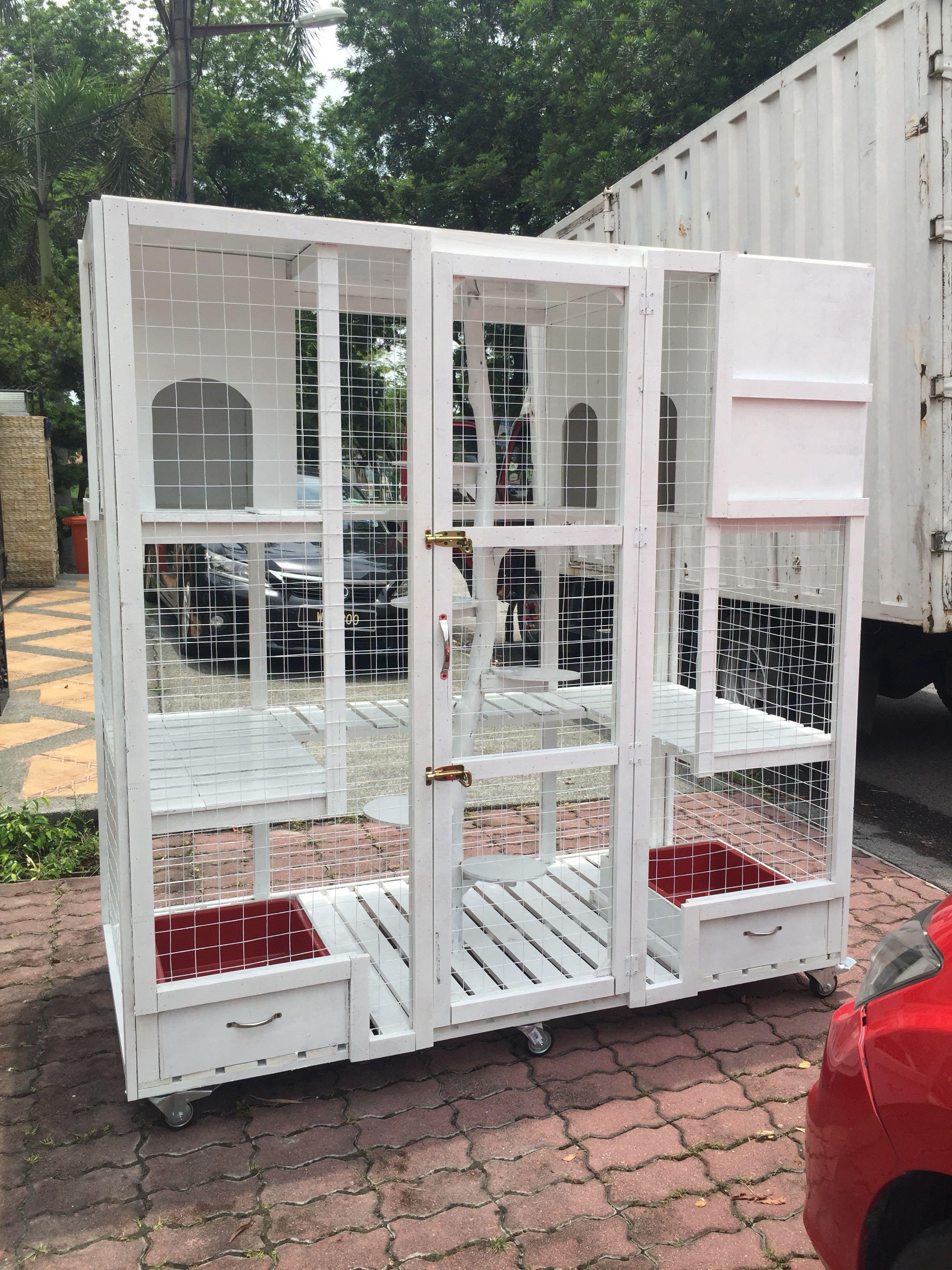 Sangkar kucing bajet, Pet Supplies, Pet Accessories on Carousell