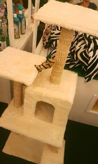 Cat Tower - View all Cat Tower ads in 