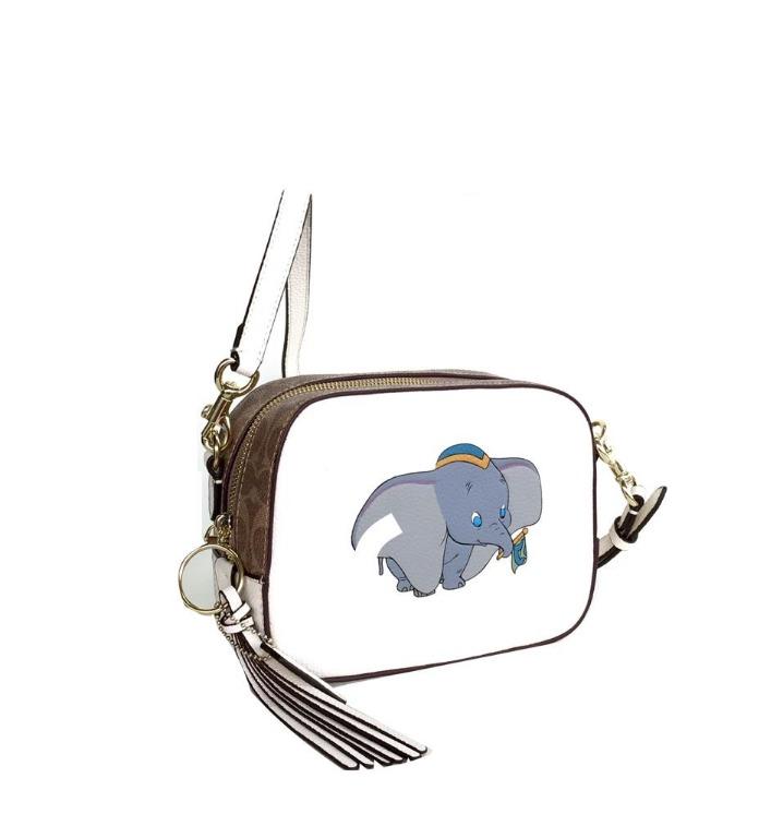 Coach camera bag dumbo store