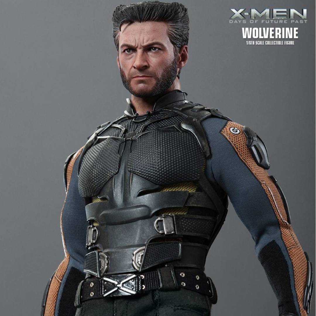 Hot Toys X Men Days Of Future Past Wolverine Mms2 Hobbies Toys Toys Games On Carousell