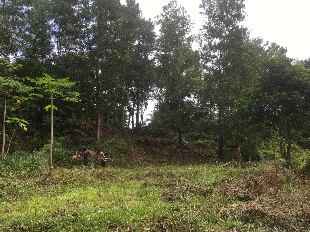 Lot for Sale near San Vicente Airport in Palawan, Property, For Sale