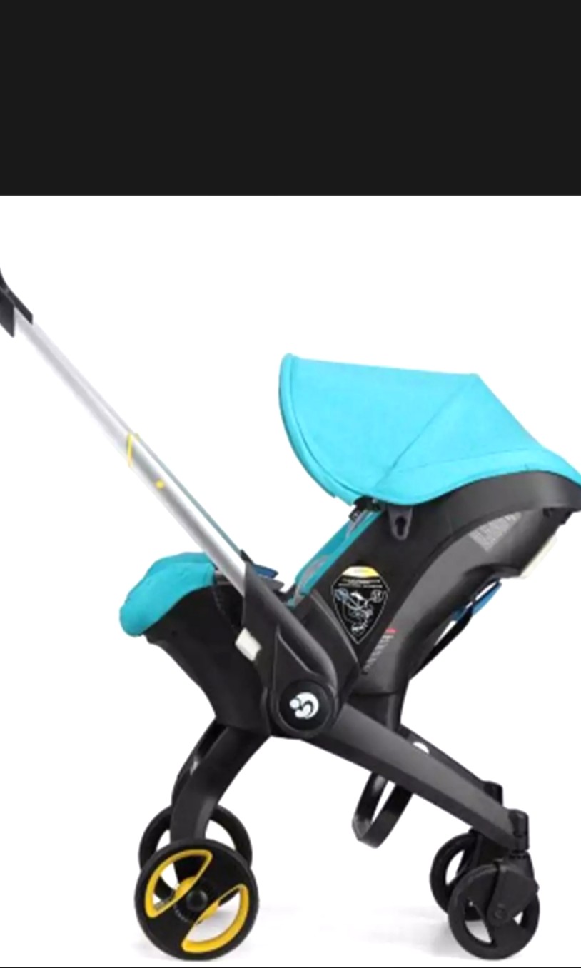popular car seat and stroller