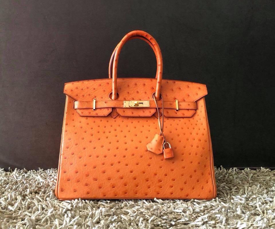 Hermes Kelly Handbag Orange Ostrich with Gold Hardware 35 Orange