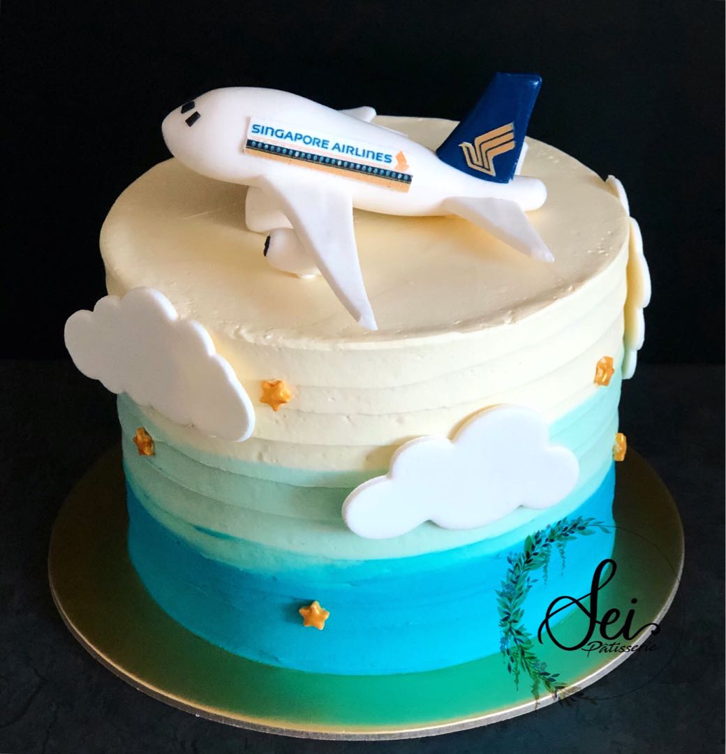 Aeroplane Cake - DP Saini Florist