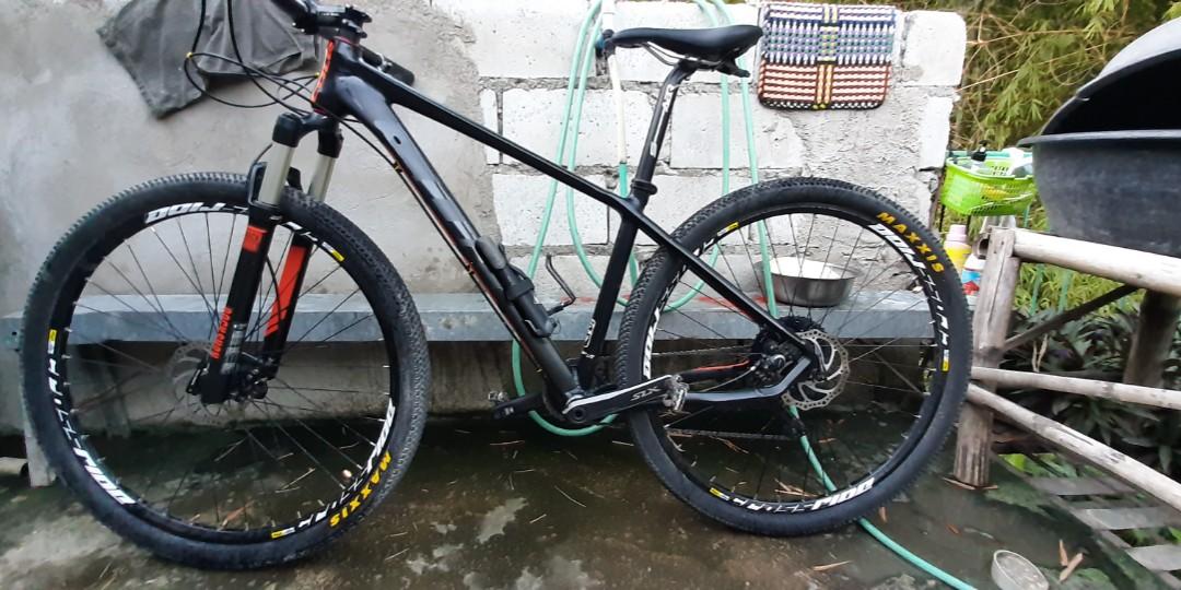 cole 29er