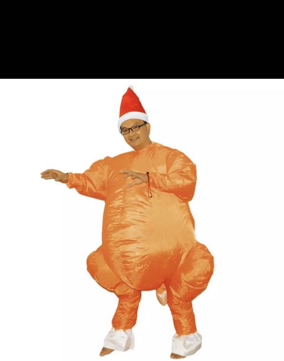 Christmas sales turkey costume
