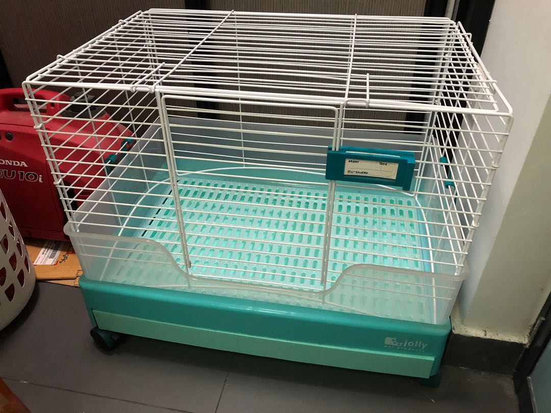 Jolly Super Home Cage for Rabbit Guinea Pig Pet Supplies Homes Other Pet Accessories on Carousell
