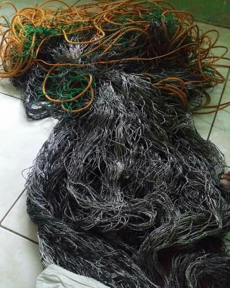 pamo net for sale