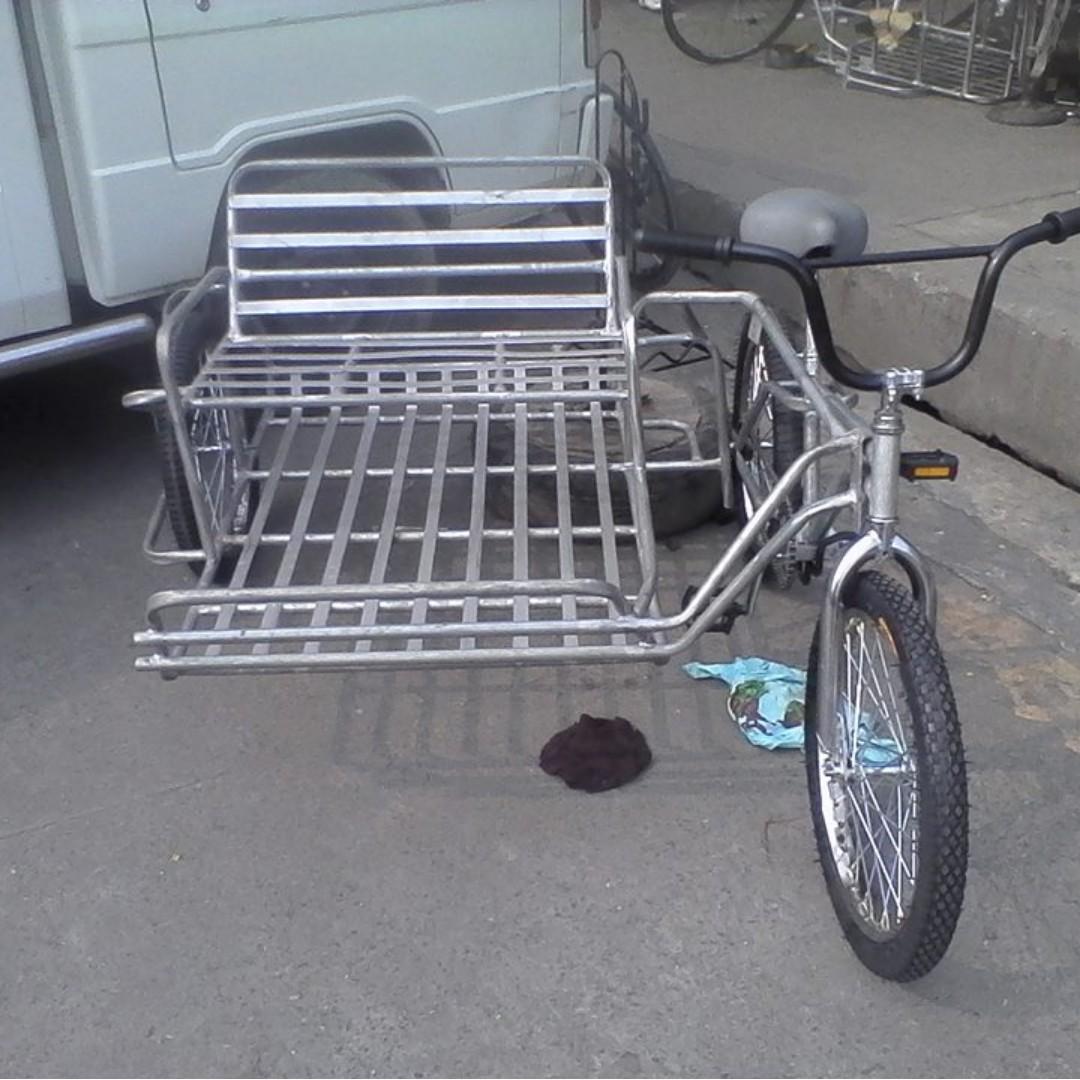 bicycle sidecar for sale