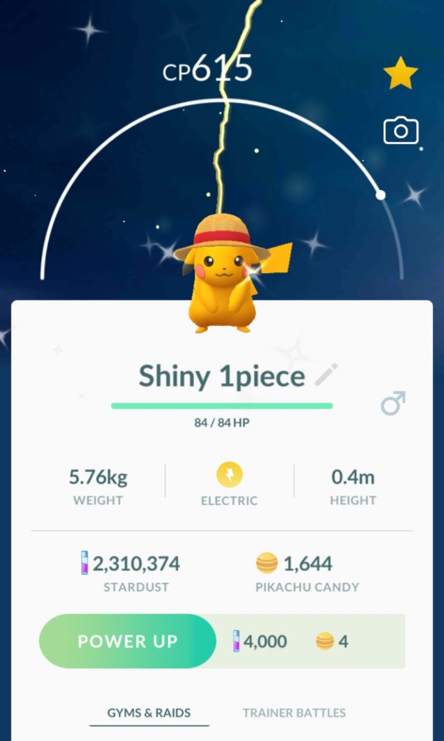 Pokemon Go Shiny One Piece Pikachu Toys Games Video Gaming Others On Carousell
