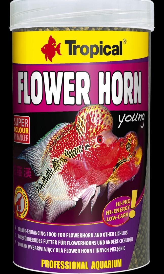 tropical flower horn