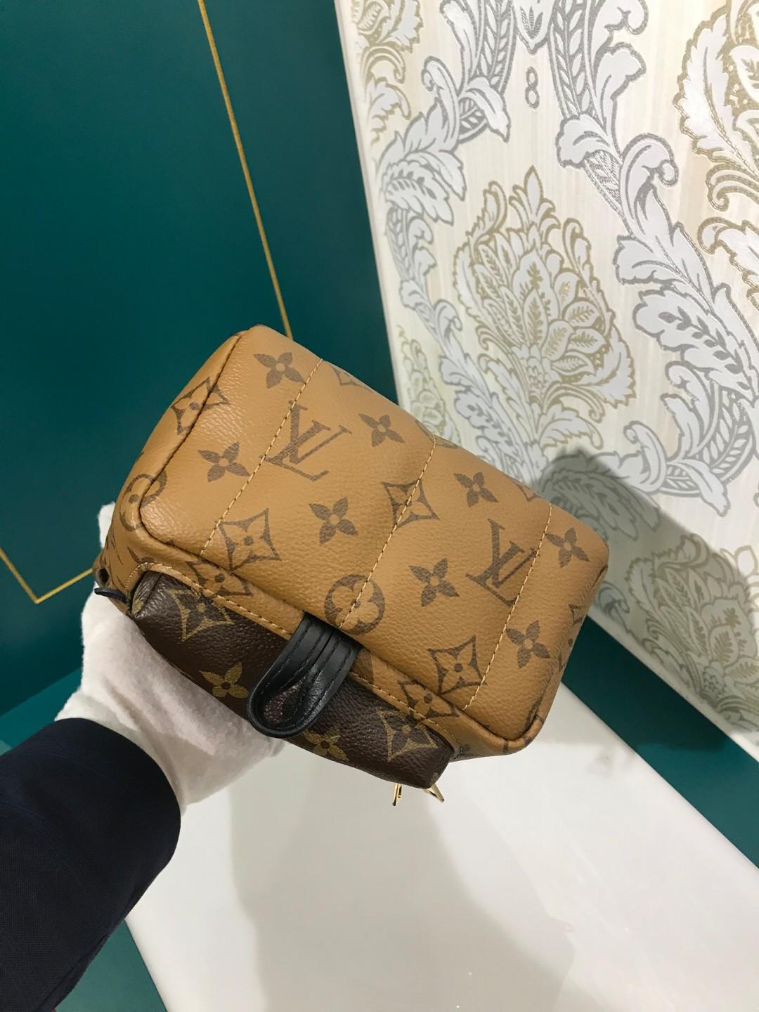 Louis Vuitton Palm Springs Mini Backpack - Rashmi Bhanja