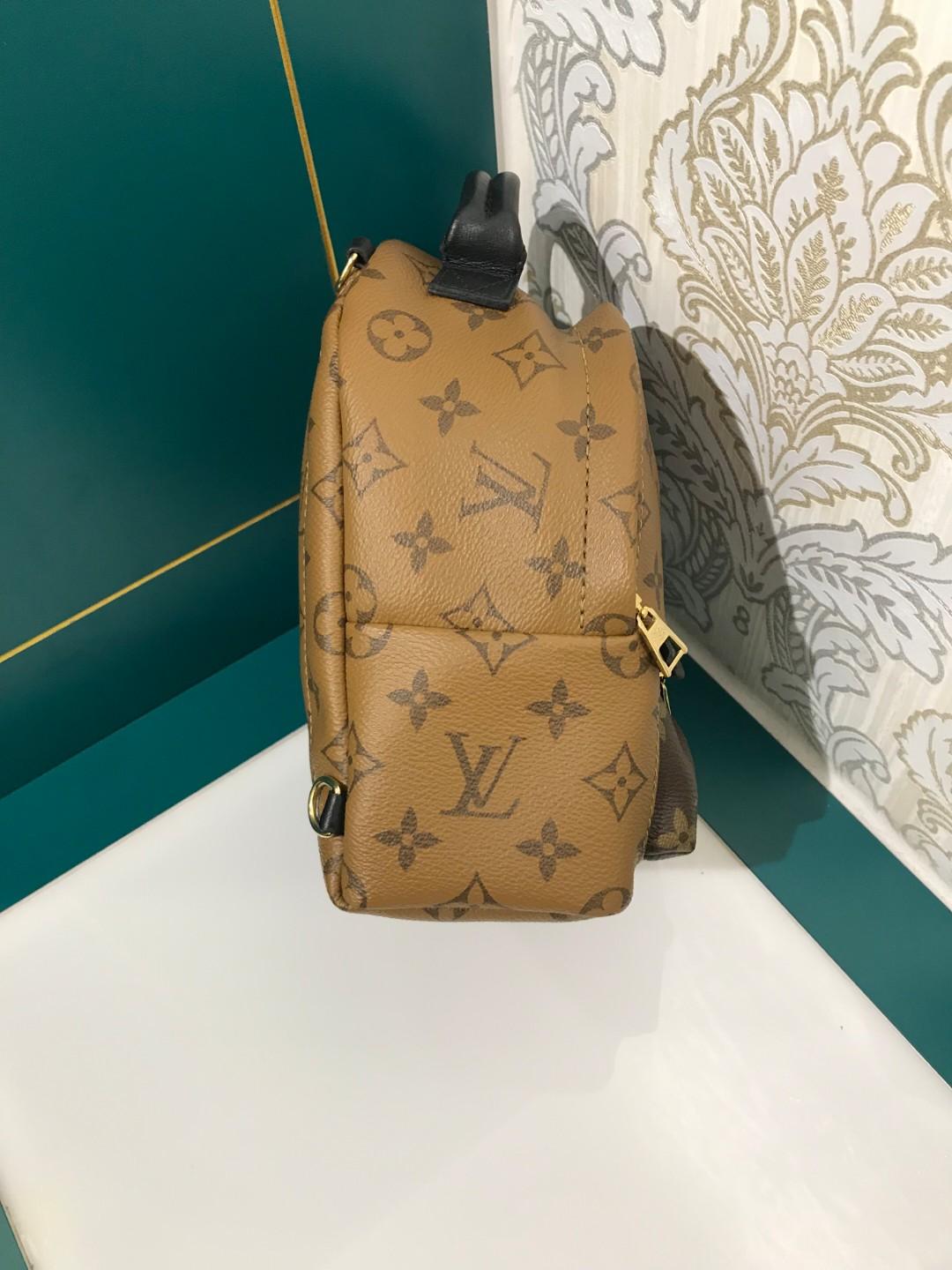 Louis Vuitton Palm Springs Mini Backpack Brown ref.143930 - Joli