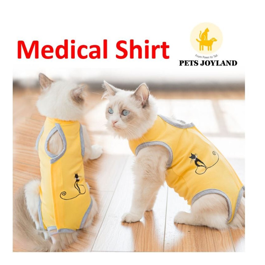 cat recovery shirt