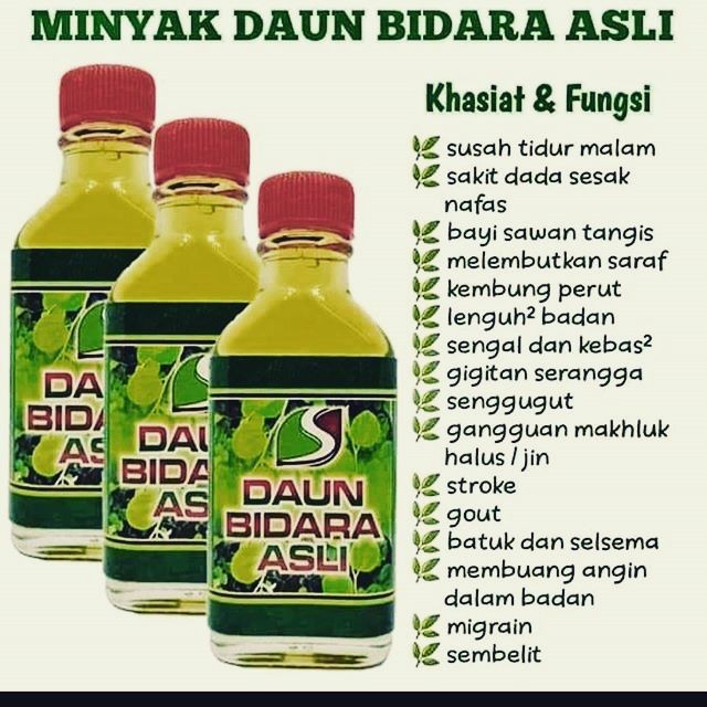 Minyak Bidara Asli Instock Health Nutrition Medical Supplies Tools On Carousell