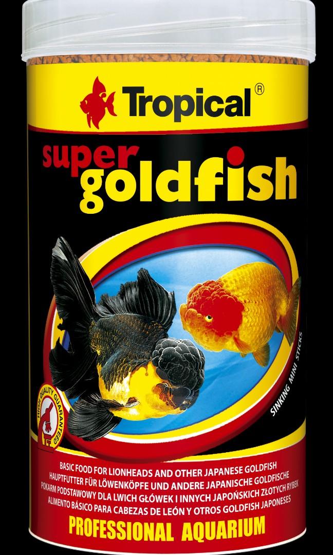 tropical super goldfish