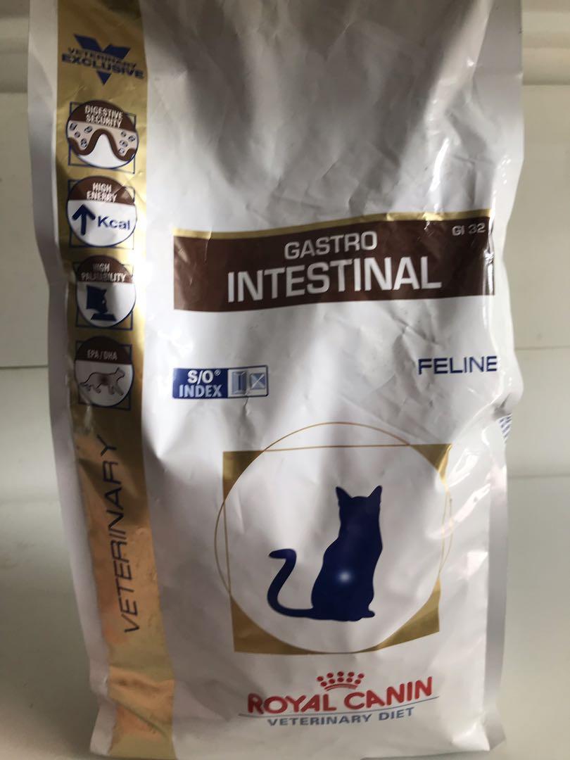 Gastro intestinal feline royal canin sales