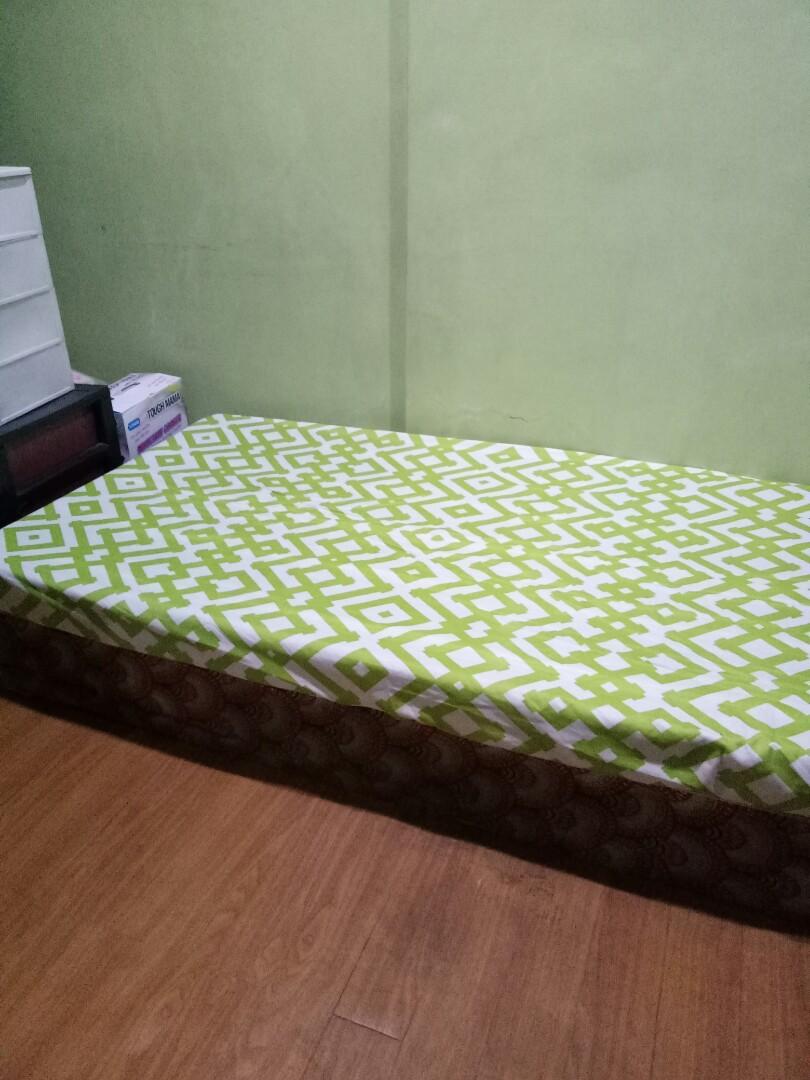 Uratex foam single deals bed size price