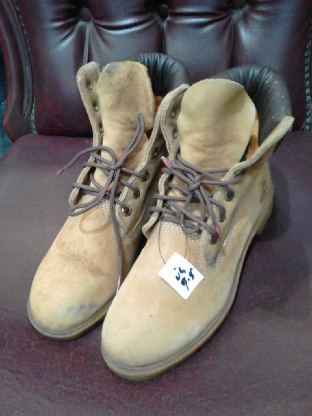 Timberland oil outlet