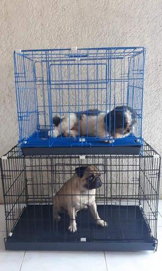 olx dog cage for sale