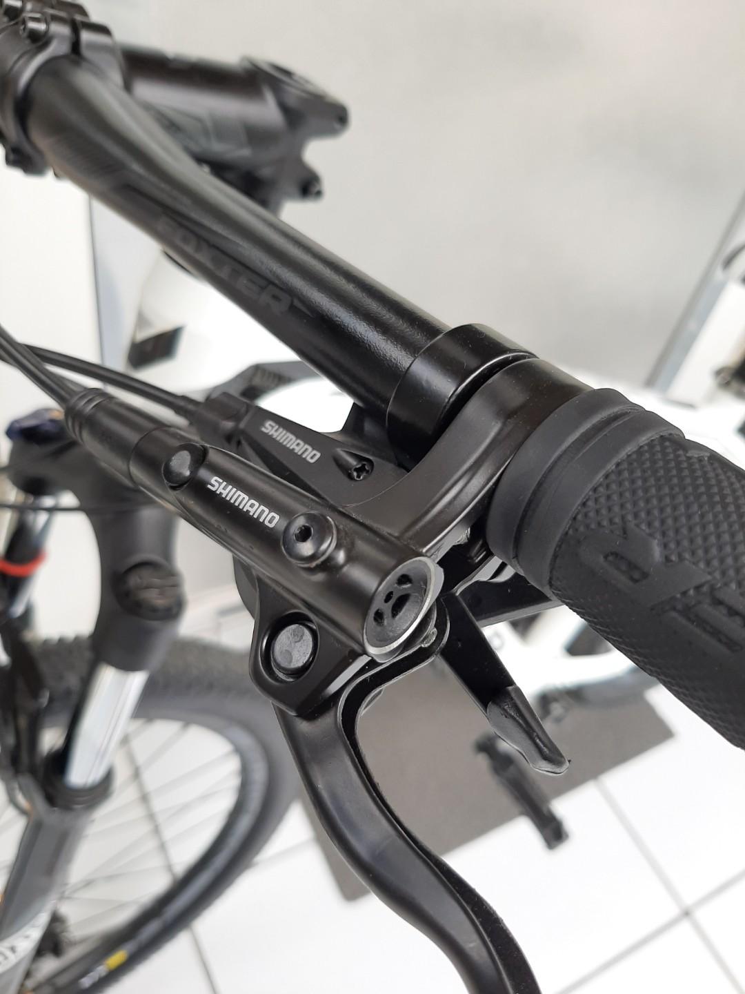 foxter evans 3.0 29er