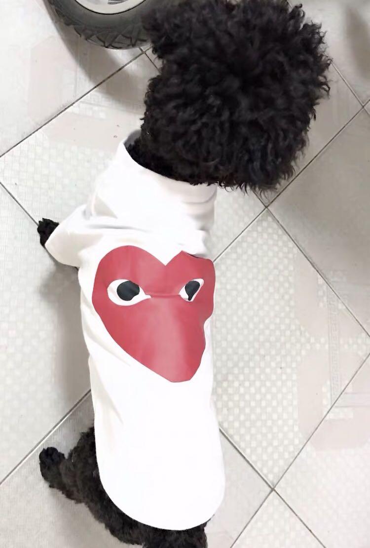 Comme des garcons dog clothing hot sale