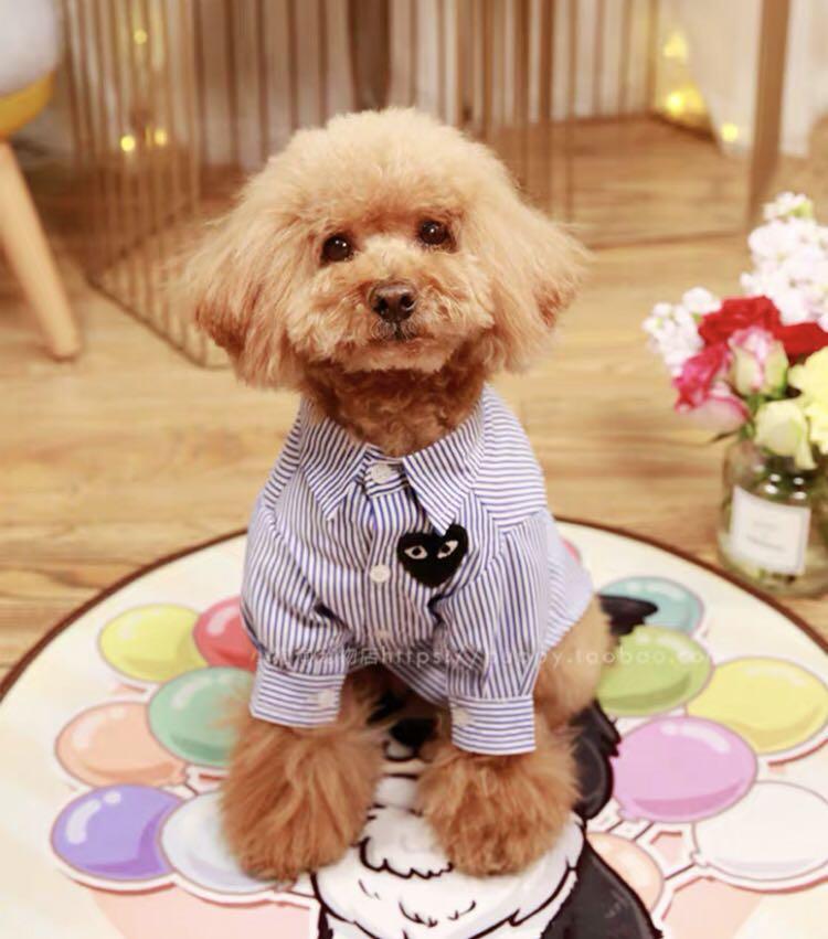 NDP Special BN Comme Des Gar ons CDG Pets Red Striped Shirt