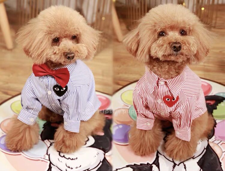 Cdg outlet dog hoodie