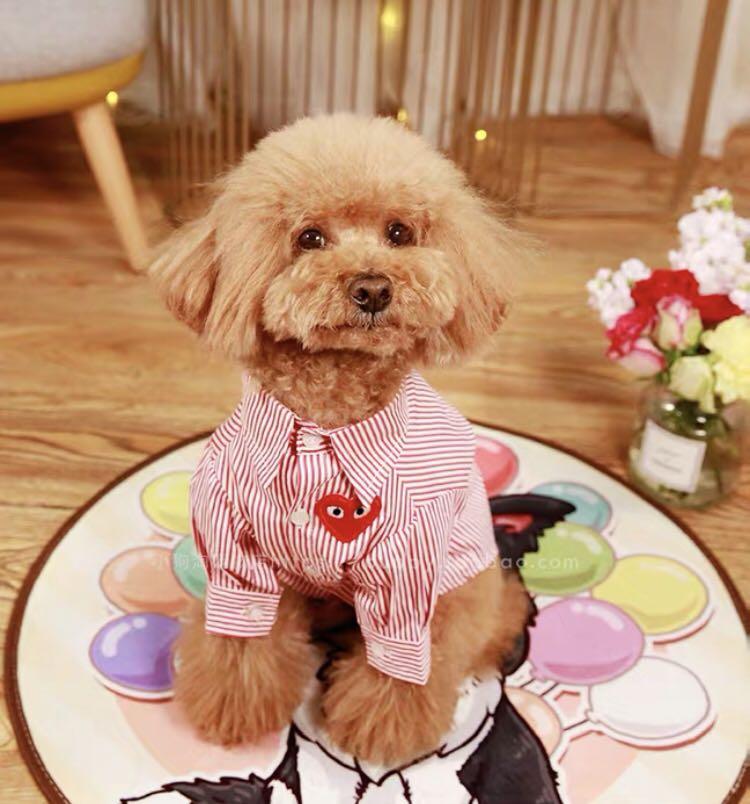 Cdg outlet dog hoodie