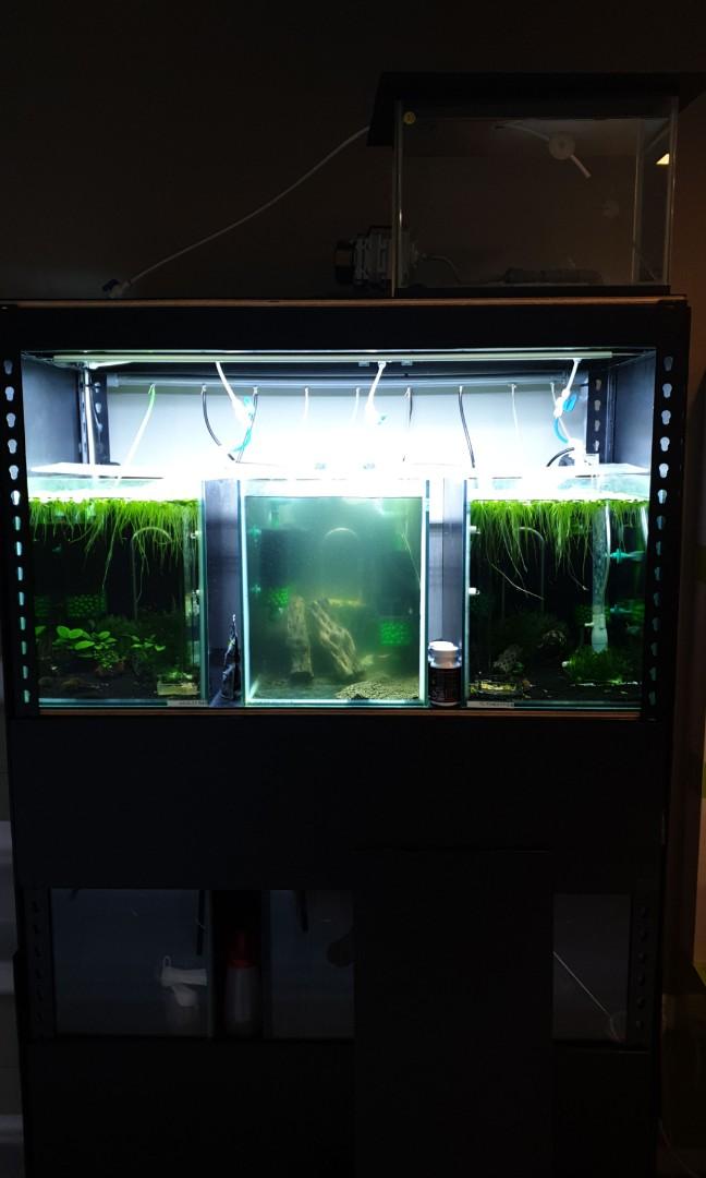 Shrimp/Fish Rack full setup (plug and play), Pet Supplies, Homes ...