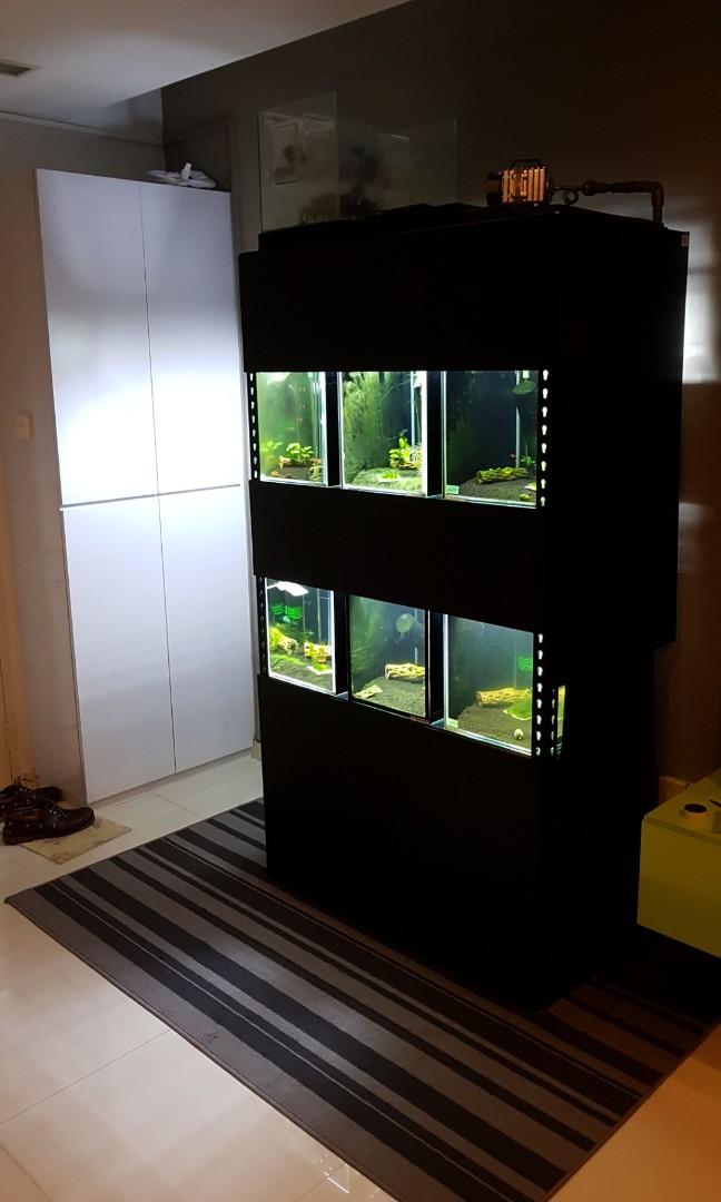 Shrimp/Fish Rack full setup (plug and play), Pet Supplies, Homes ...