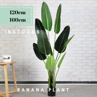 INSTOCKS Banana plant (120cm/160cm)