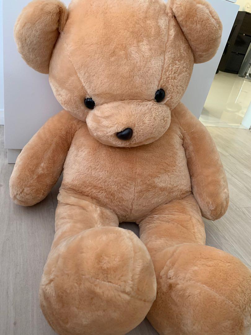 teddy bear very big