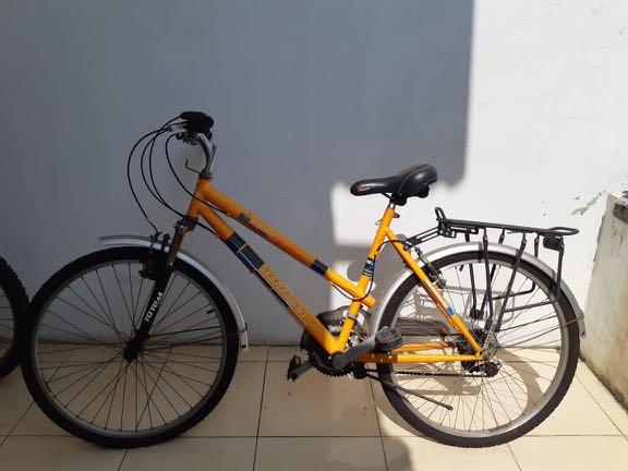 Fixie totem clearance