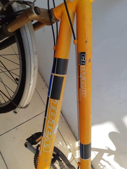 Totem fixie best sale