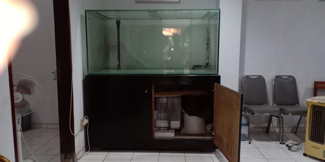 88 Koleksi Design Aquarium Besar Gratis Terbaru