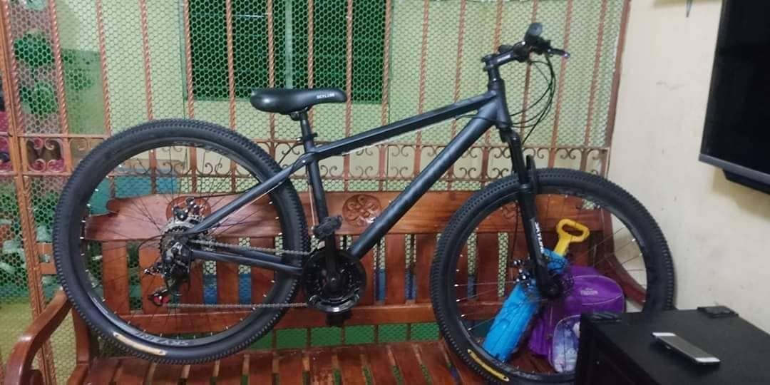 skyline bike 27.5