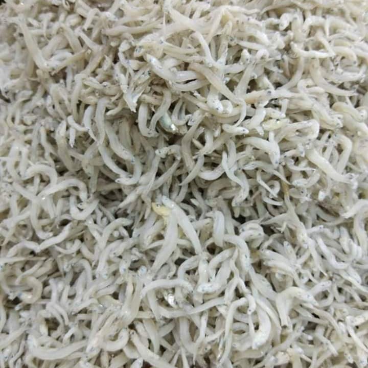 Zens Organic Natural Ikan Bilis Mata Biru Kopek Super Grade A 300g