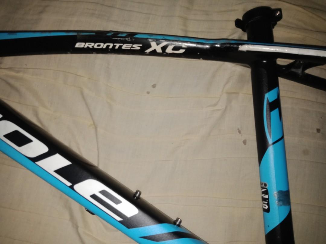 cole brontes xc 2019