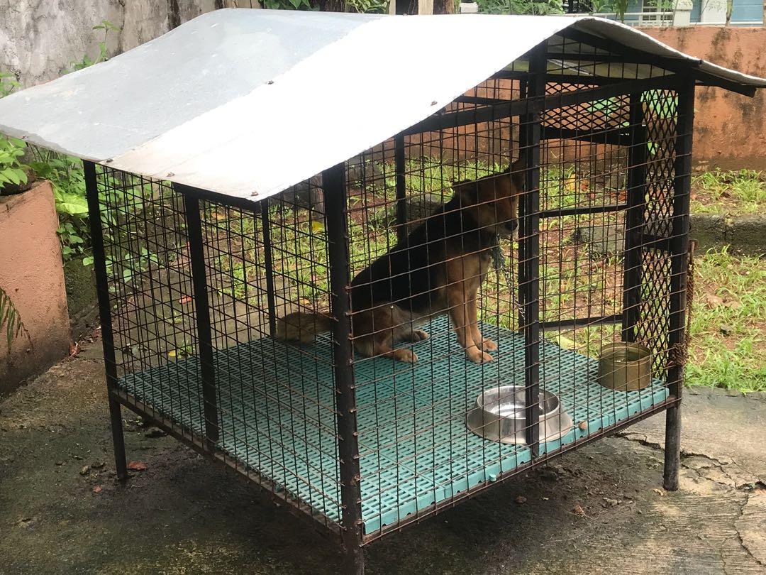 4x4 dog 2025 cage