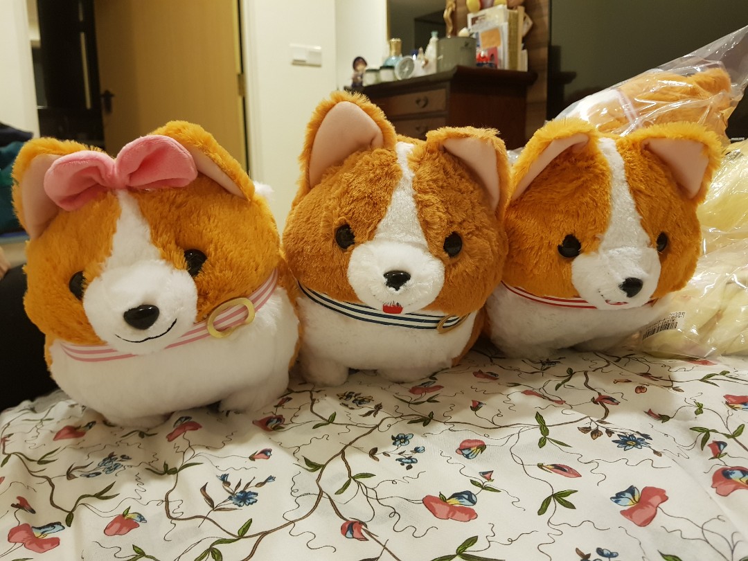Ichini the corgi hot sale