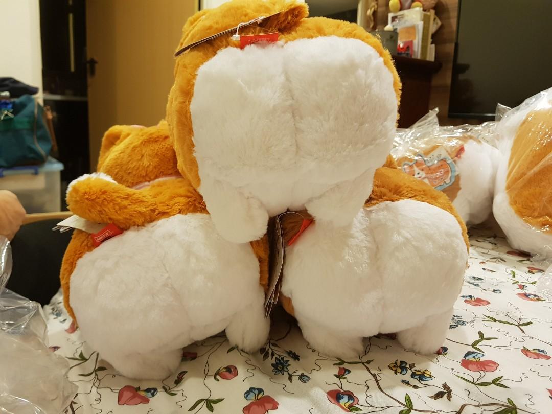 Ichini the corgi new arrivals
