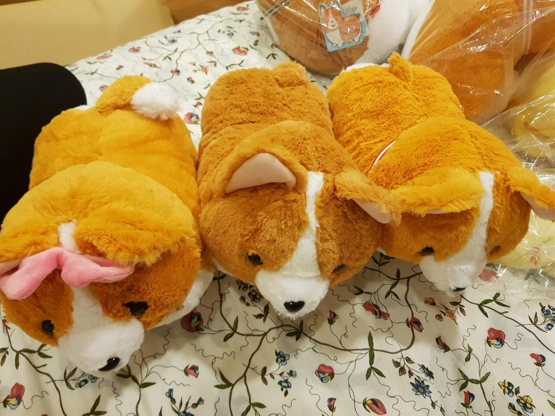 Ichini corgi discount