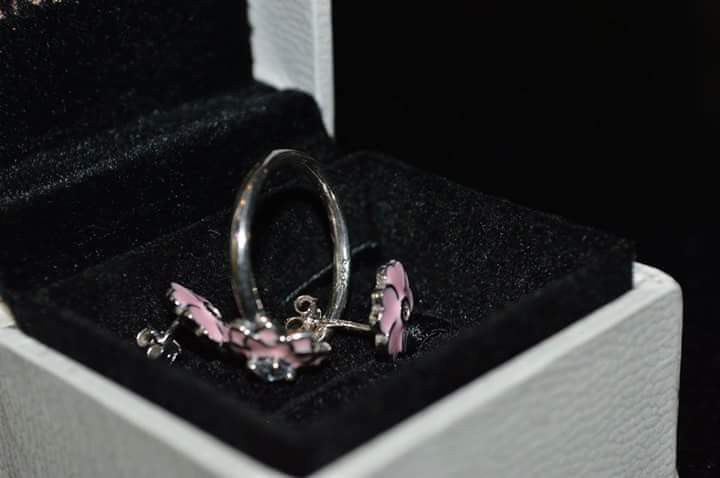 Pandora set, Women's Fashion, Jewelry & Organizers, Charms on Carousell