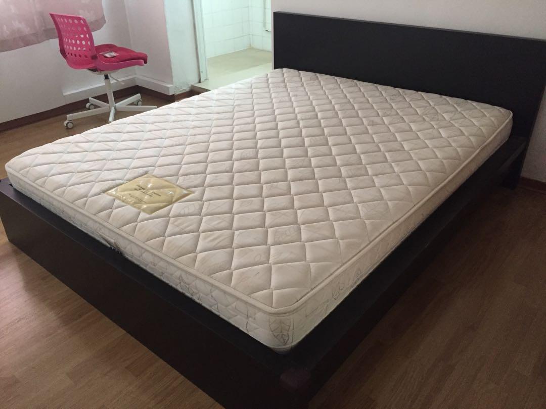 Queen Size Ikea Bed Frame Free Mattress Furniture Beds