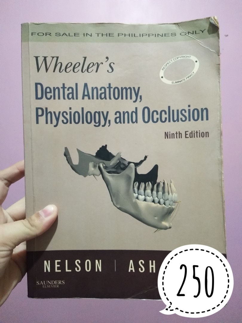 Wheeler's dental anatomy, physiology and occlusion, Hobbies & Toys